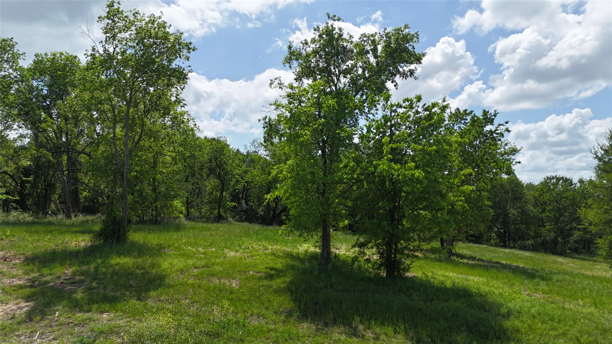 Lot 14 Opal Drive & Bs#4 Corsicana TX 75109