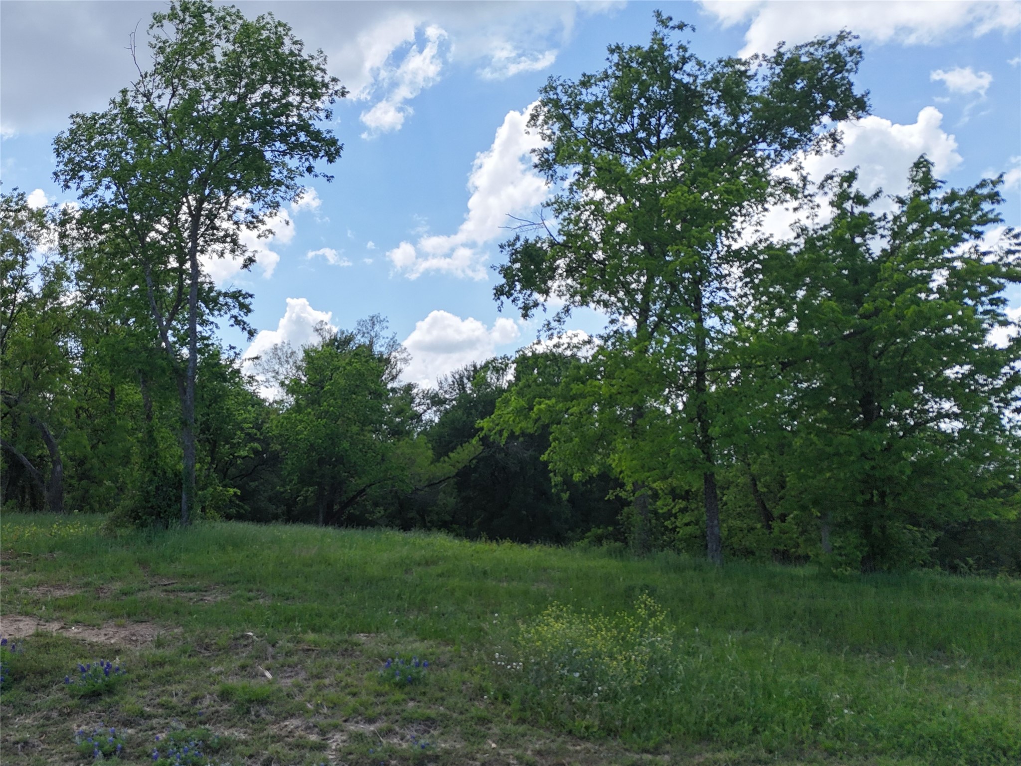 Lot 14 Opal Drive & Bs#4 Corsicana TX 75109