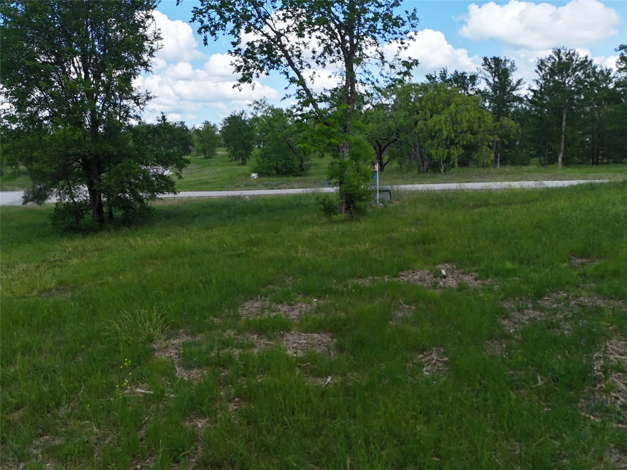 Lot 14 Opal Drive & Bs#4 Corsicana TX 75109