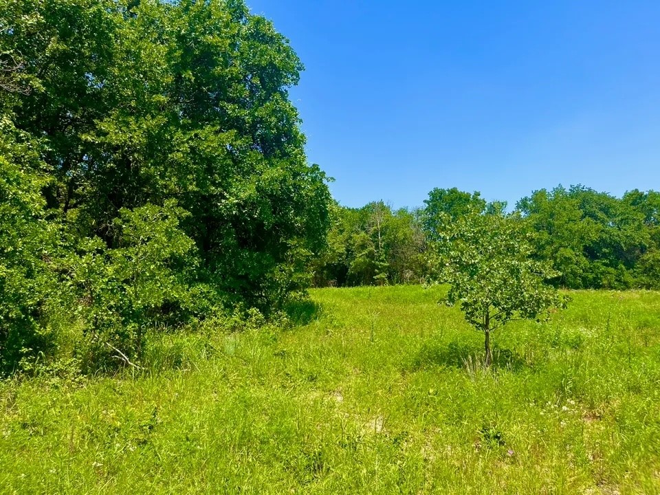 Lot 49 Wicklow Court Poolville TX 76487