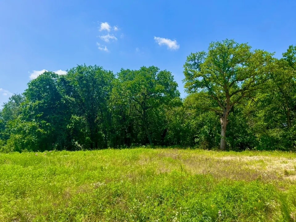 Lot 49 Wicklow Court Poolville TX 76487