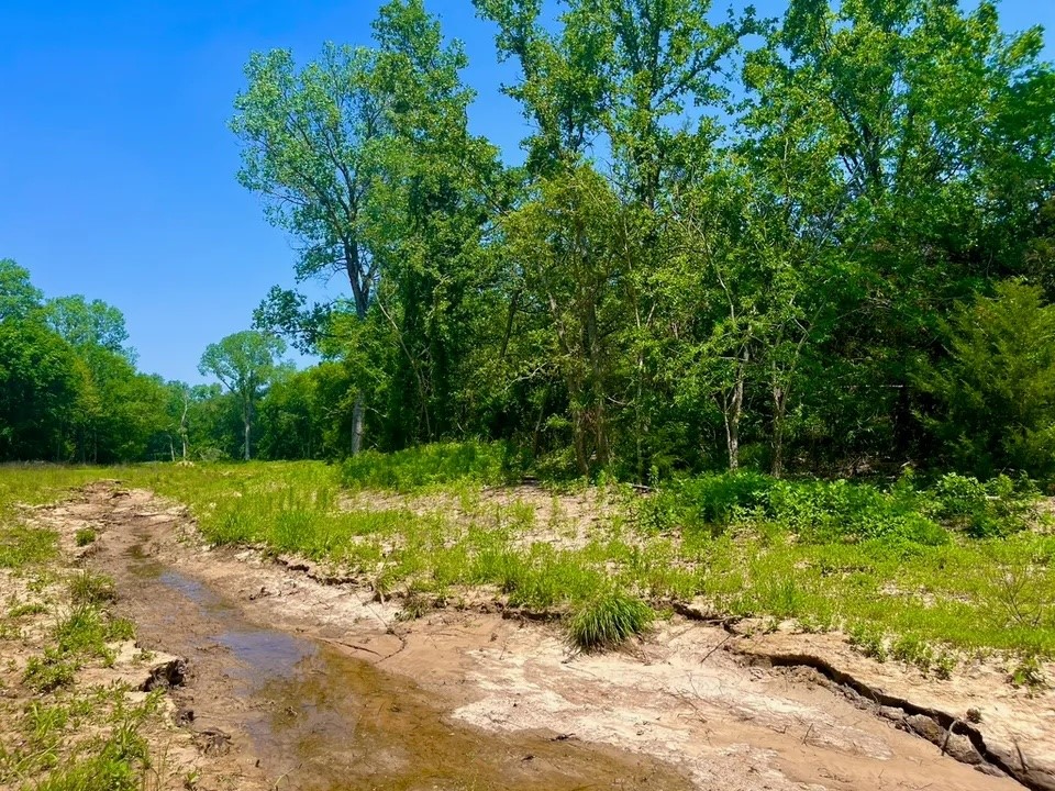 Lot 49 Wicklow Court Poolville TX 76487