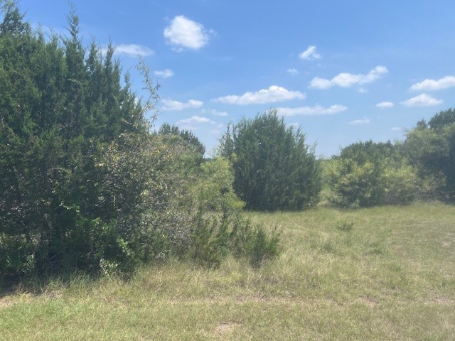 39333 Cedar Trail Whitney TX 76692