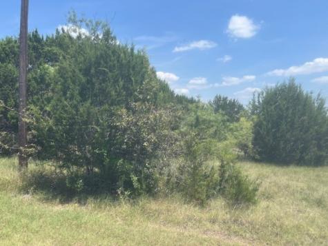 39333 Cedar Trail Whitney TX 76692