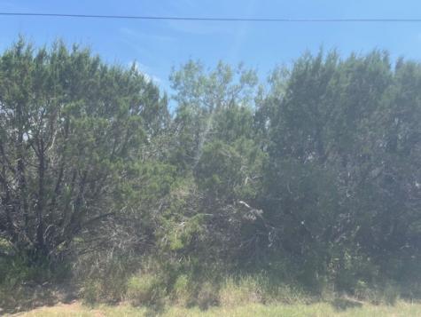 39333 Cedar Trail Whitney TX 76692