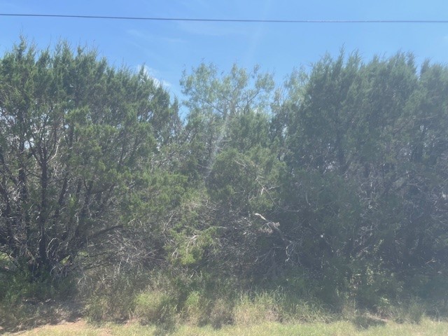 39333 Cedar Trail Whitney TX 76692