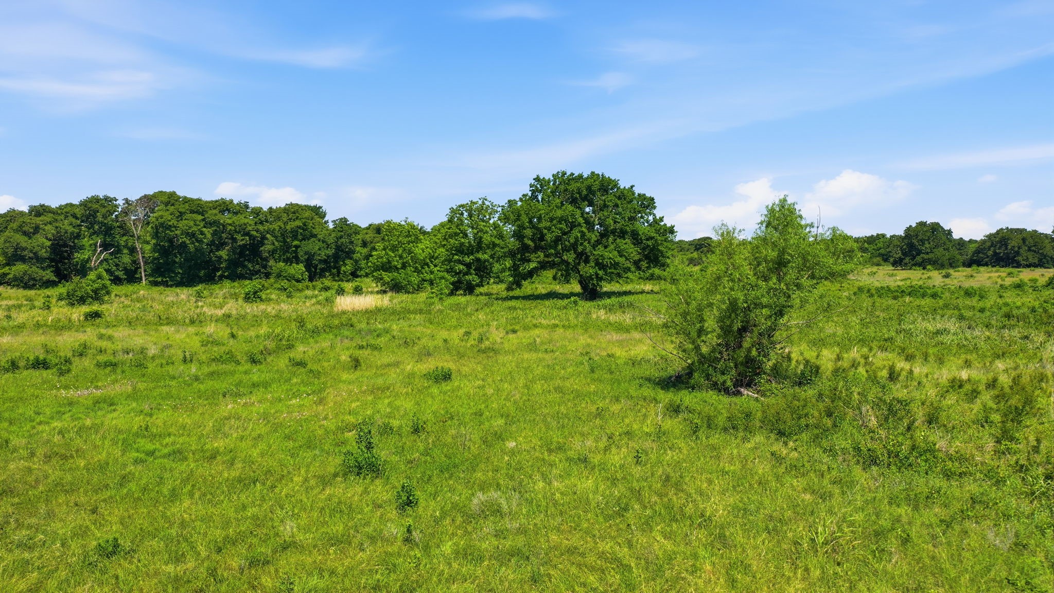 633 N Stallion Meadows Drive Perrin TX 76486