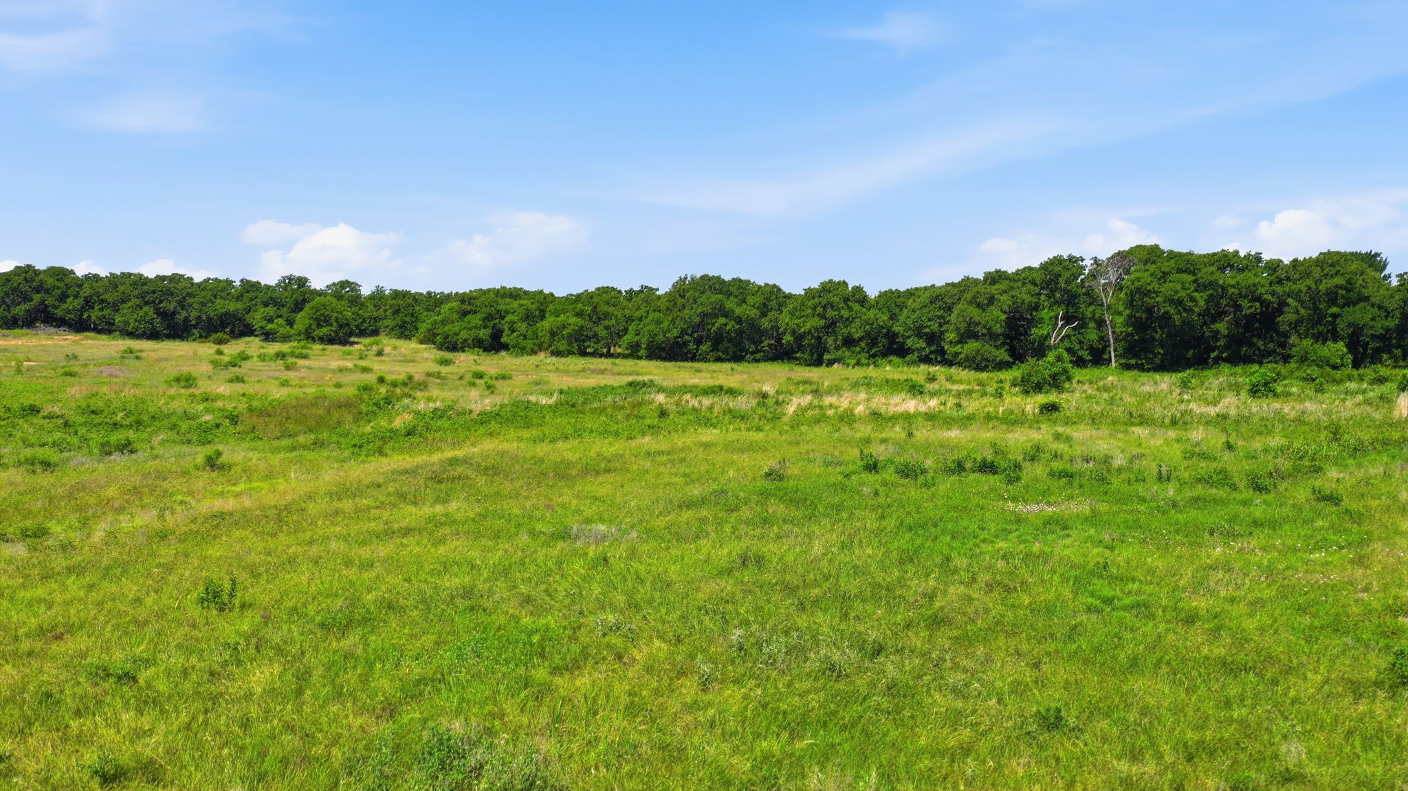 633 N Stallion Meadows Drive Perrin TX 76486