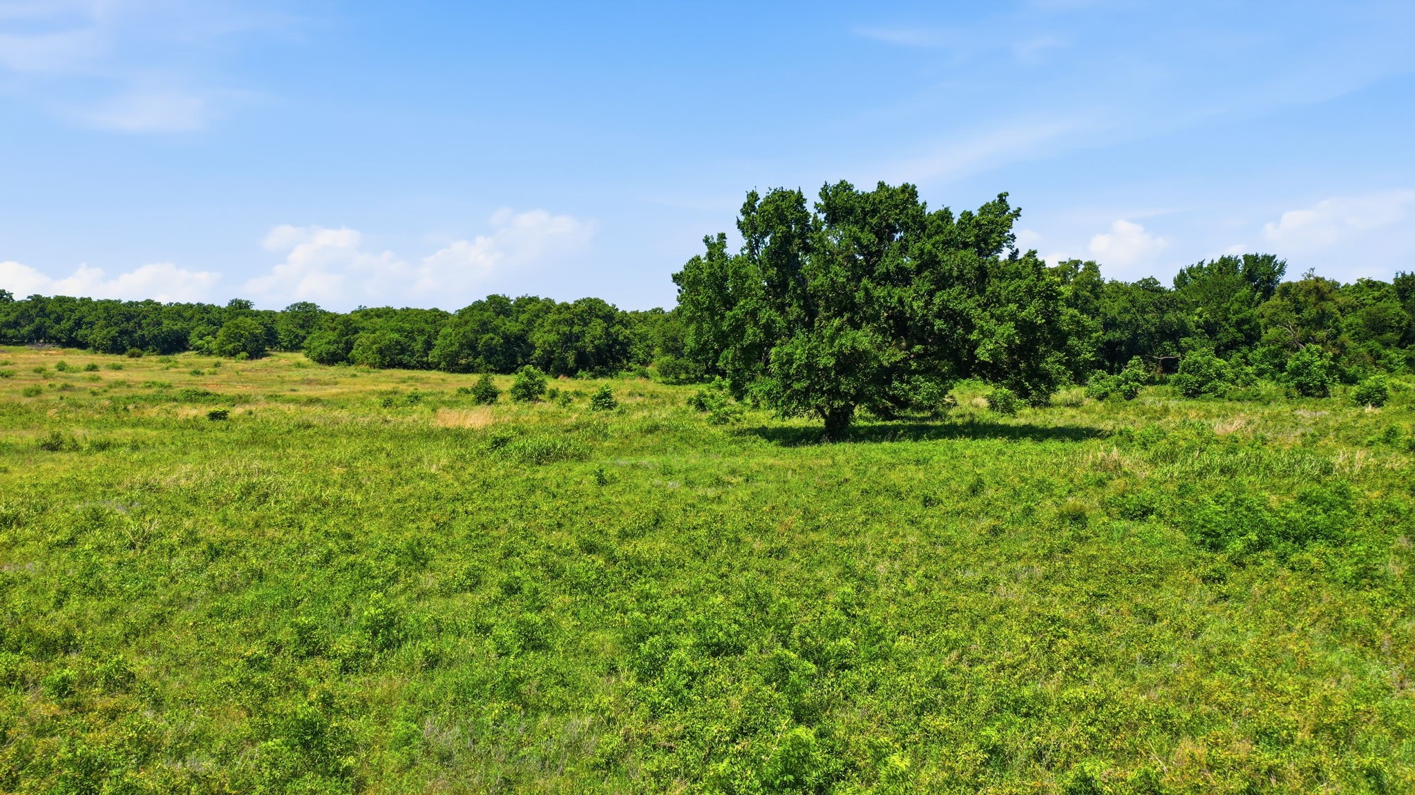633 N Stallion Meadows Drive Perrin TX 76486