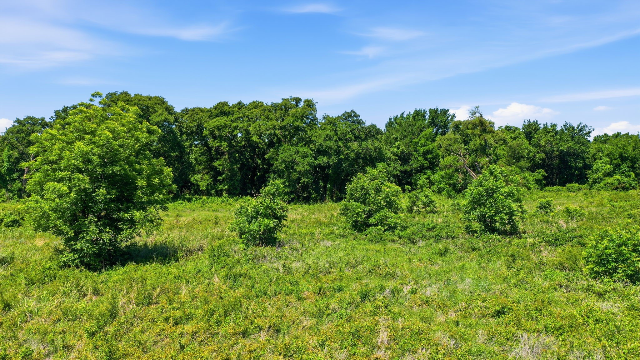 633 N Stallion Meadows Drive Perrin TX 76486