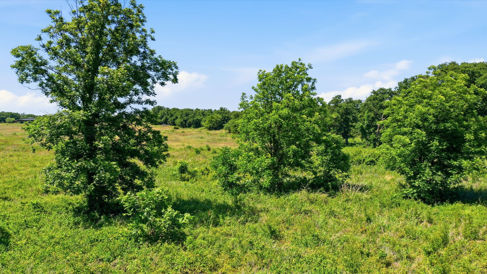 633 N Stallion Meadows Drive Perrin TX 76486