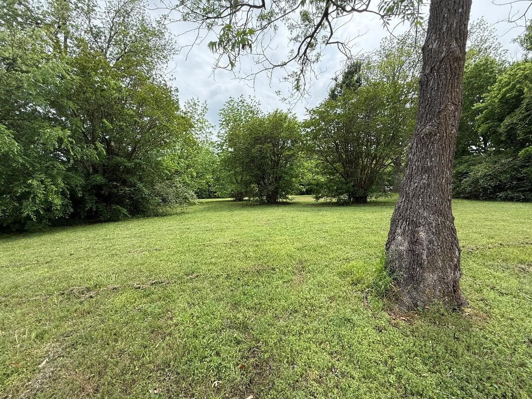 304 Hill Street Farmersville TX 75442