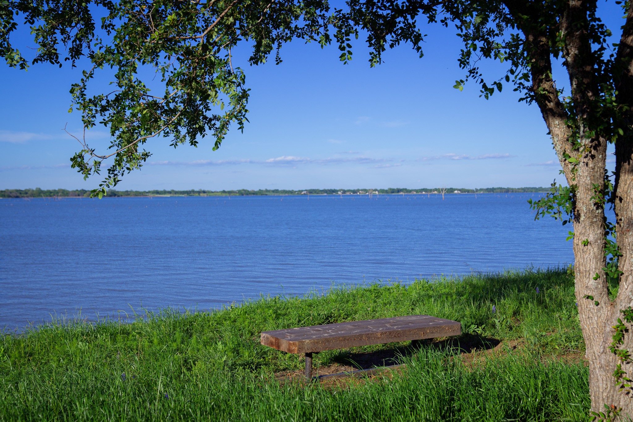 Lot 65 Richland Park Corsicana TX 75109