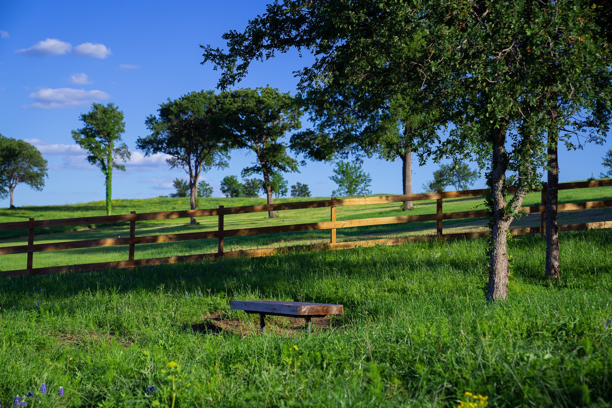 Lot 65 Richland Park Corsicana TX 75109