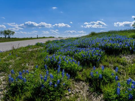 Lot 65 Richland Park Corsicana TX 75109
