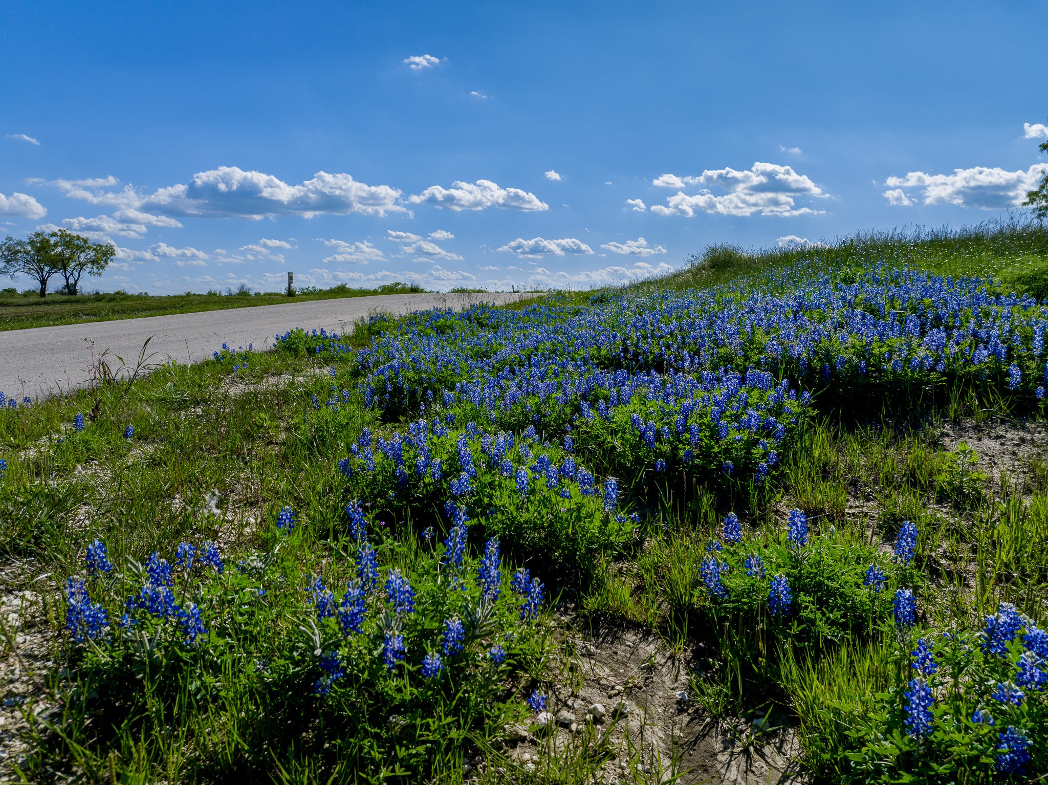 Lot 65 Richland Park Corsicana TX 75109