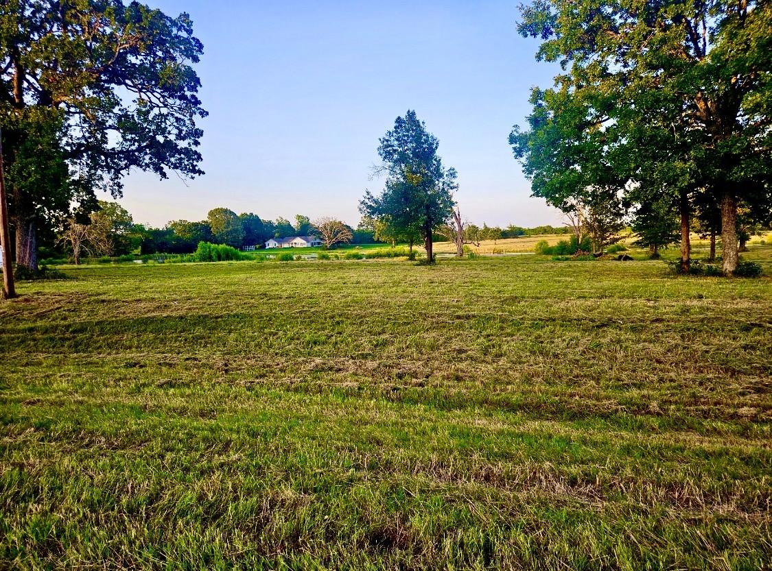 Lot 6 Fm 900 Saltillo TX 75478