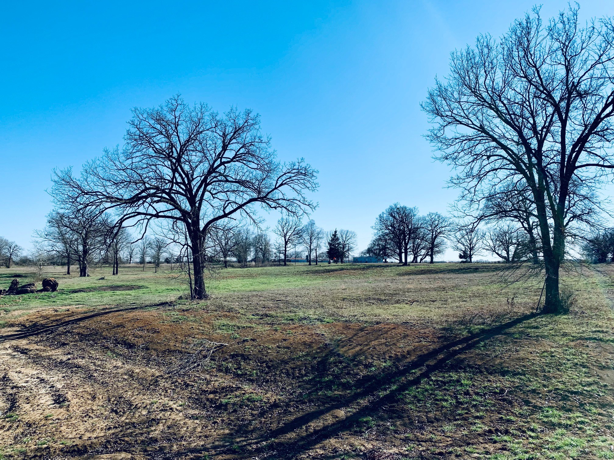 Lot 6 Fm 900 Saltillo TX 75478