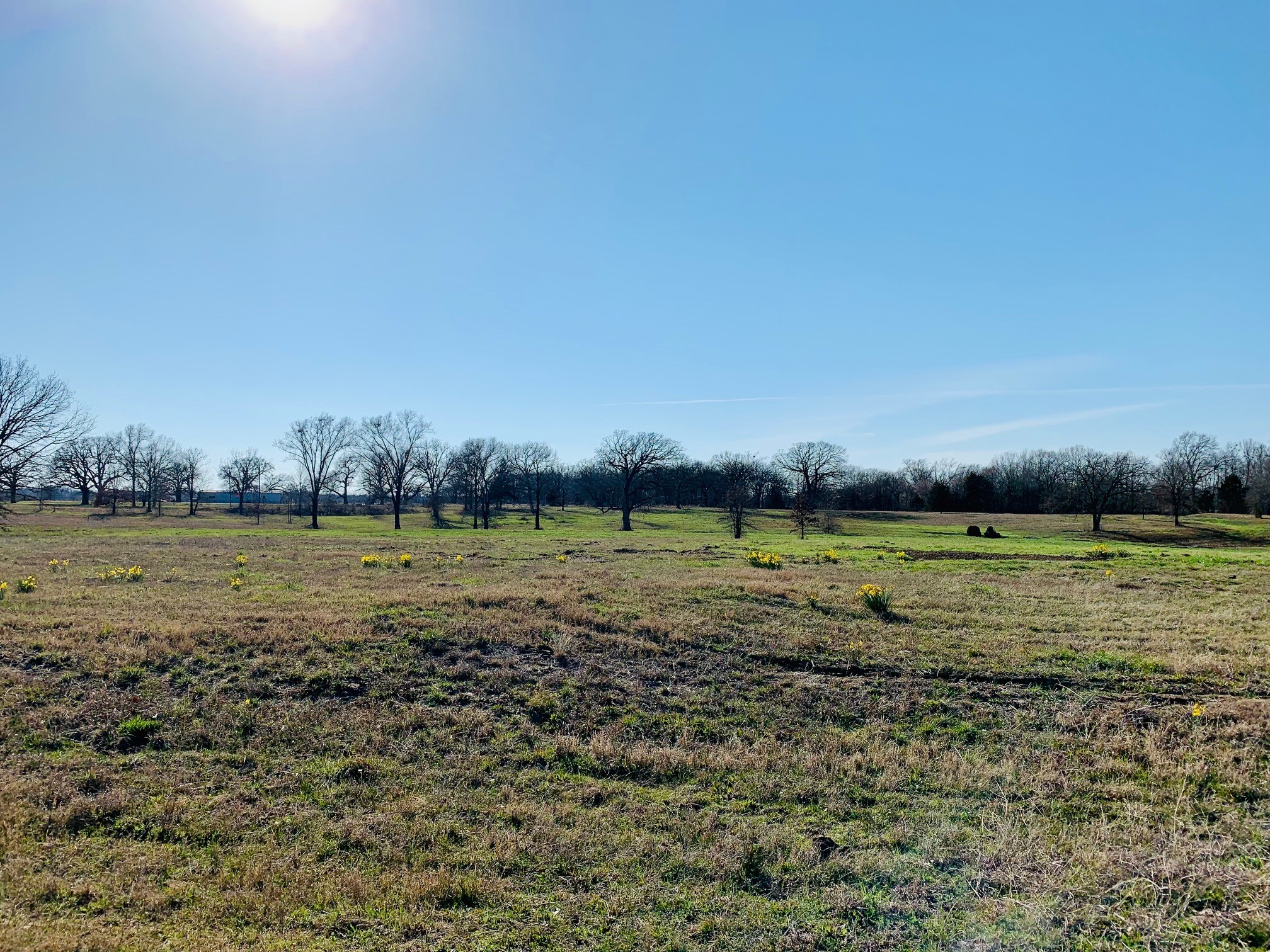 Lot 6 Fm 900 Saltillo TX 75478