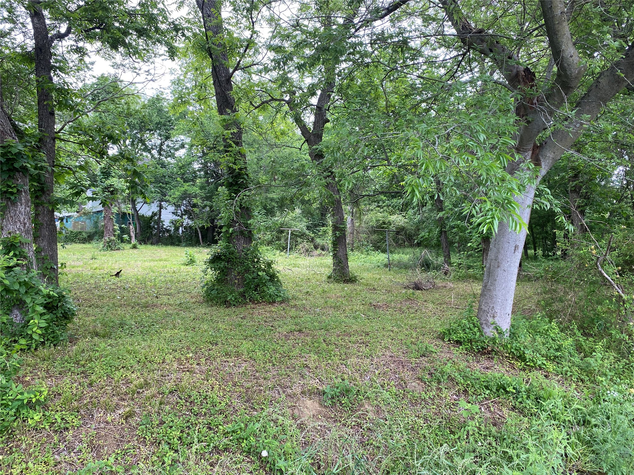 102 Elm Street Bonham TX 75418