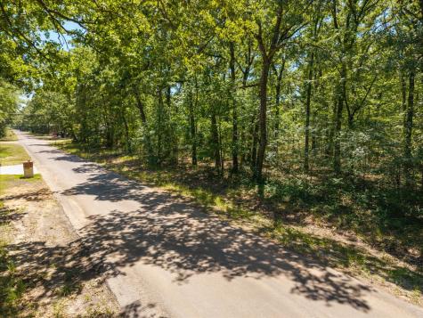 Lot 264 Beachwood Loop Trinidad TX 75163