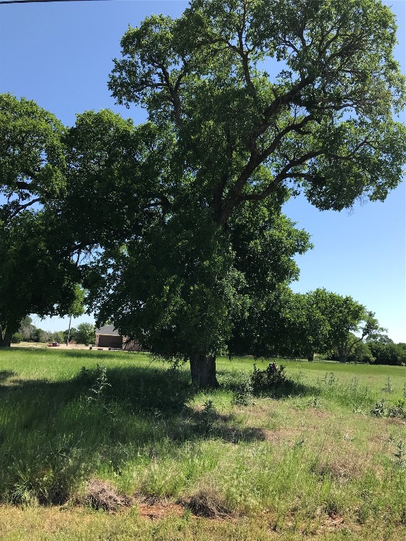7141 Sandy Oaks Drive Whitney TX 76692