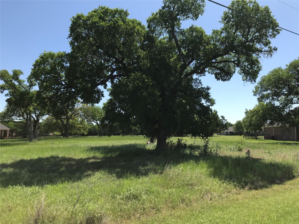 7141 Sandy Oaks Drive Whitney TX 76692