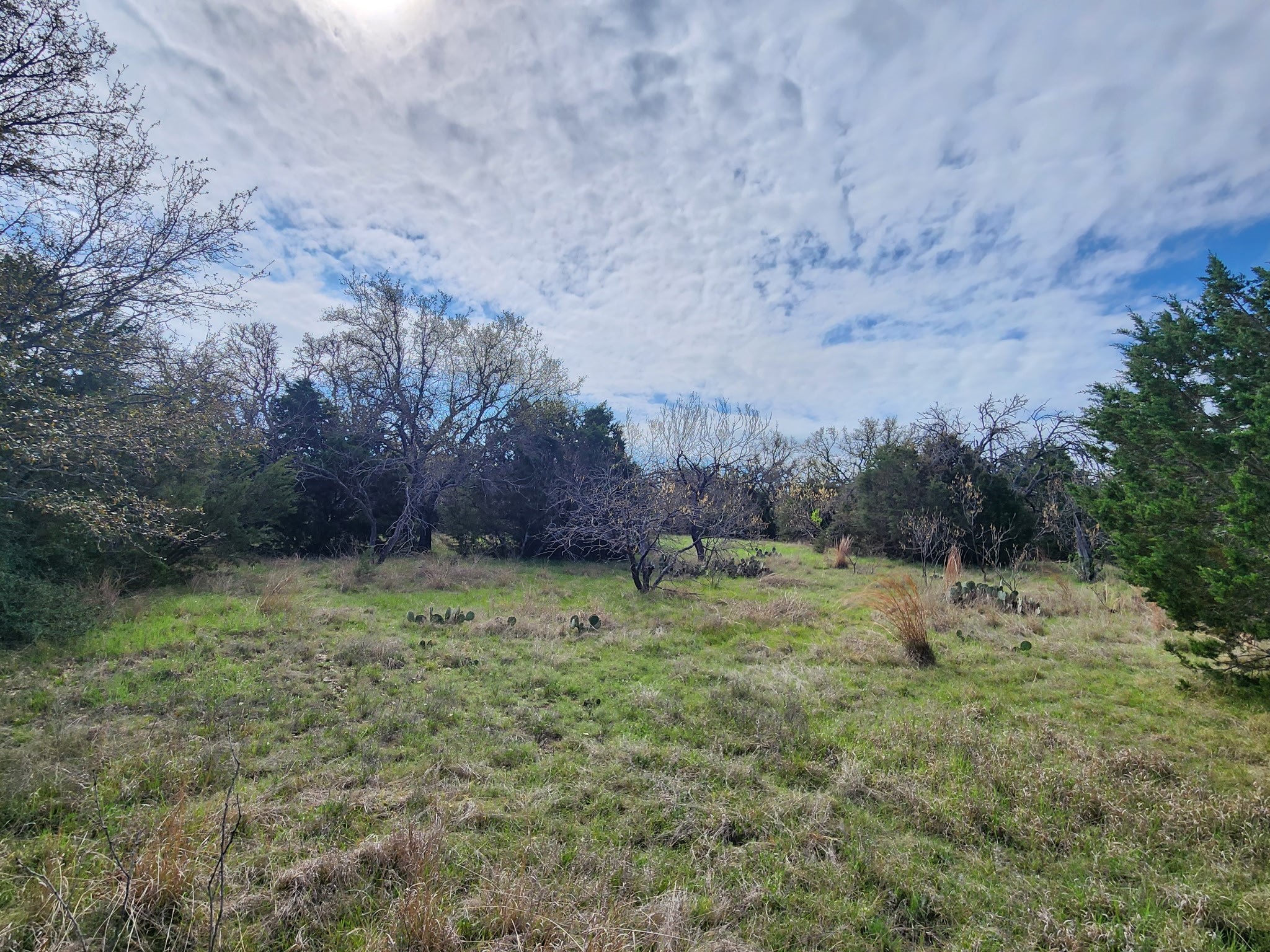 400 Blackjack Oak Drive Goldthwaite TX 76844