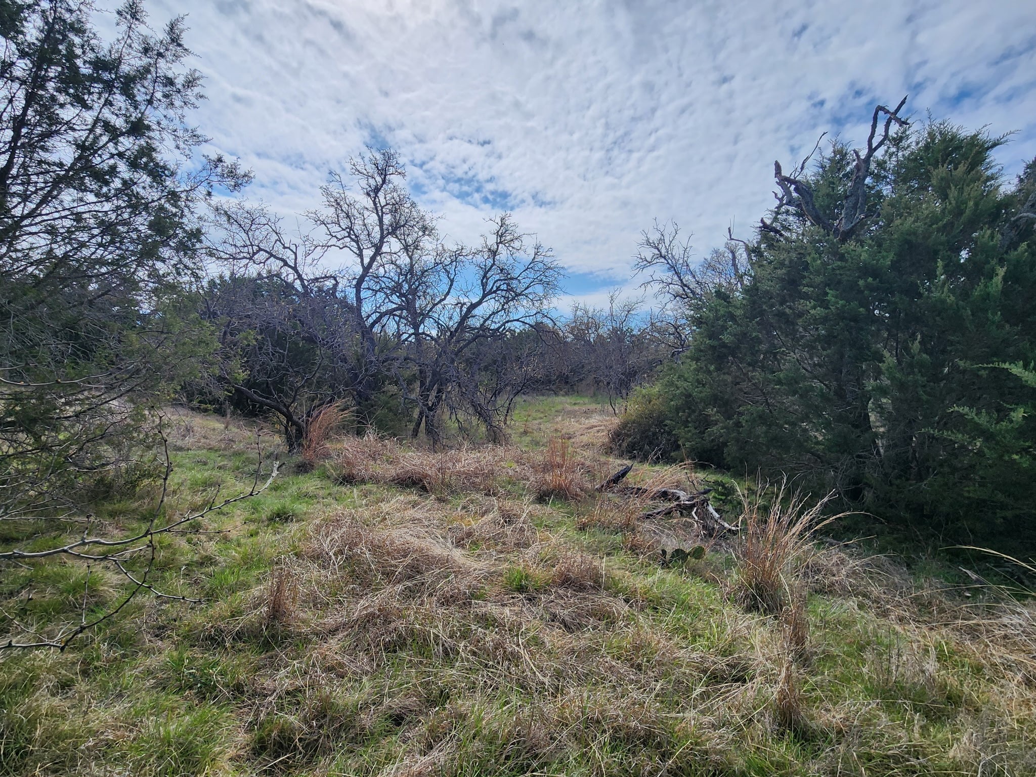 400 Blackjack Oak Drive Goldthwaite TX 76844