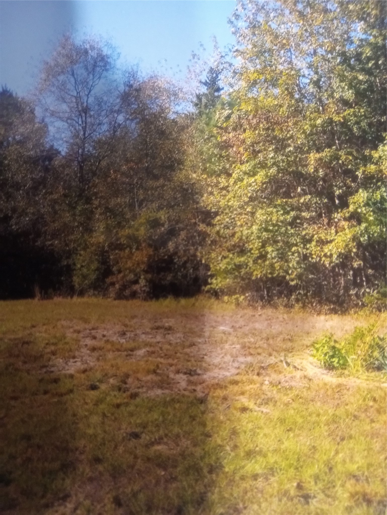 165 County Road 2613 Marietta TX 75566