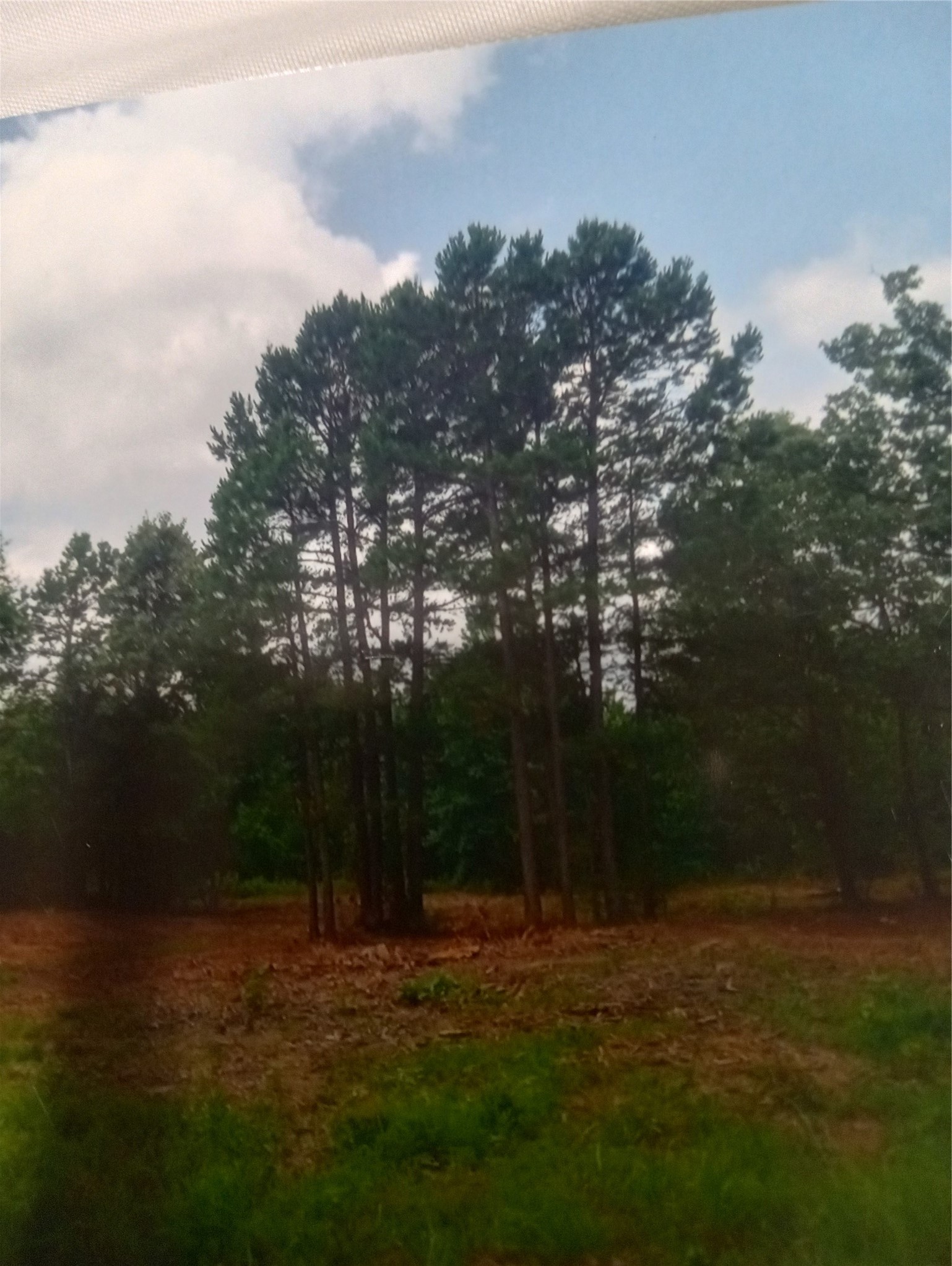 165 County Road 2613 Marietta TX 75566
