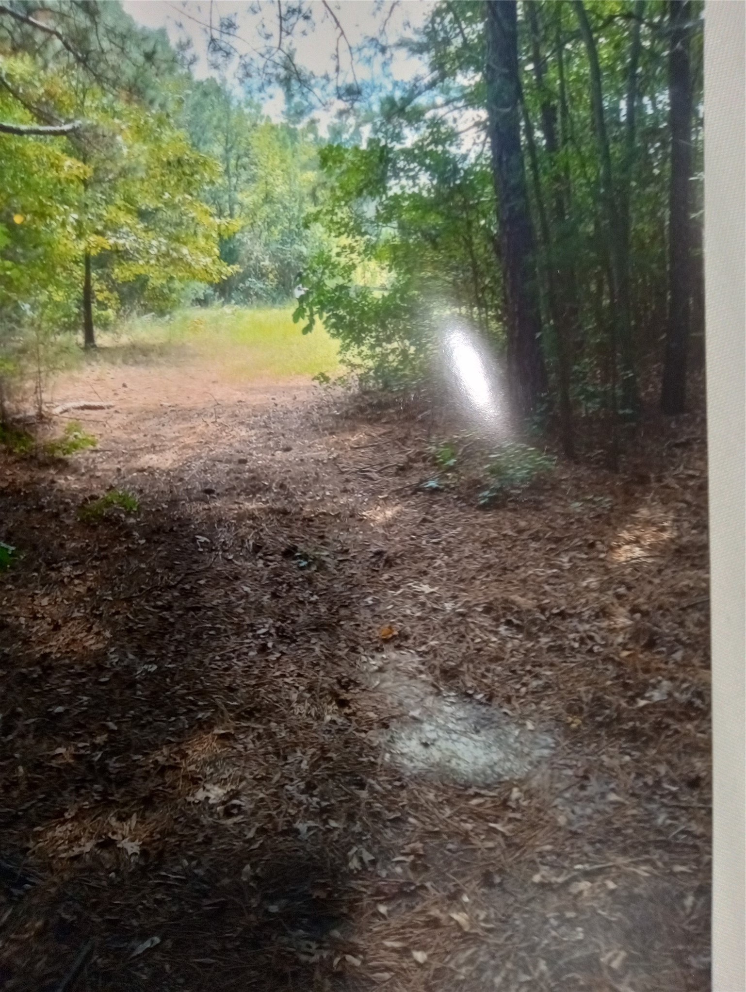 165 County Road 2613 Marietta TX 75566