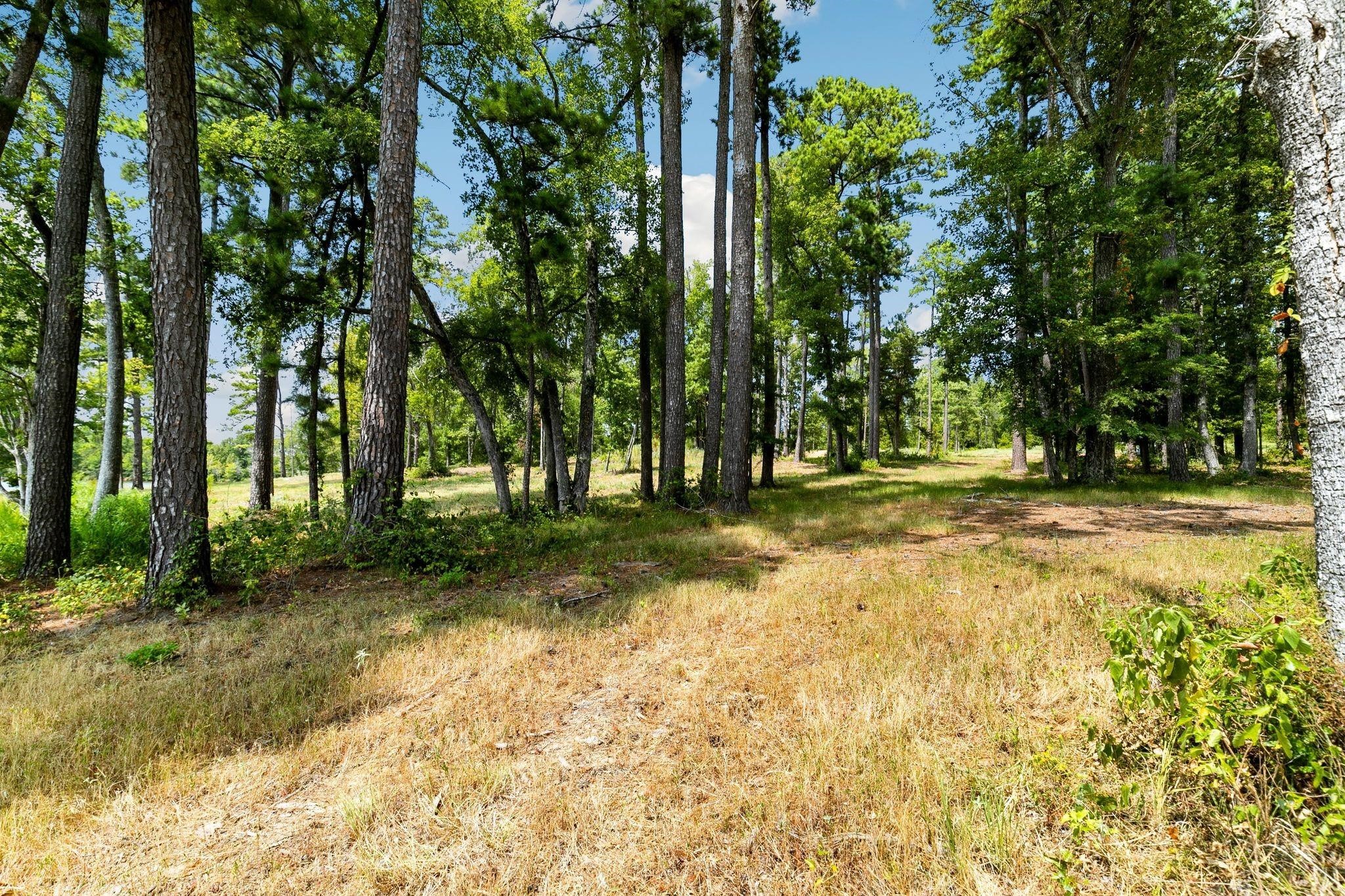 Lot 40 Big Rock Lake Road Hallsville TX 75650