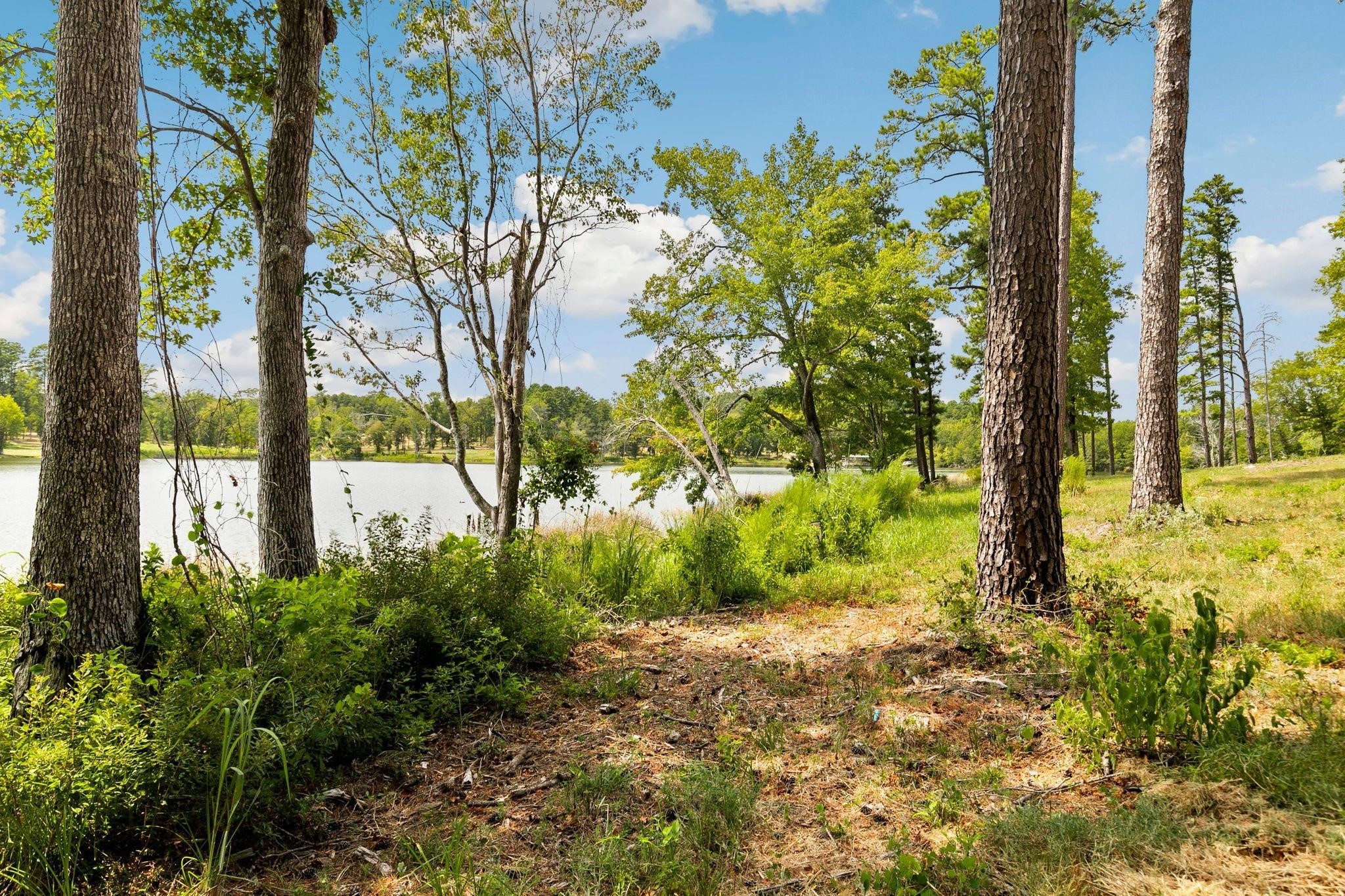 Lot 40 Big Rock Lake Road Hallsville TX 75650