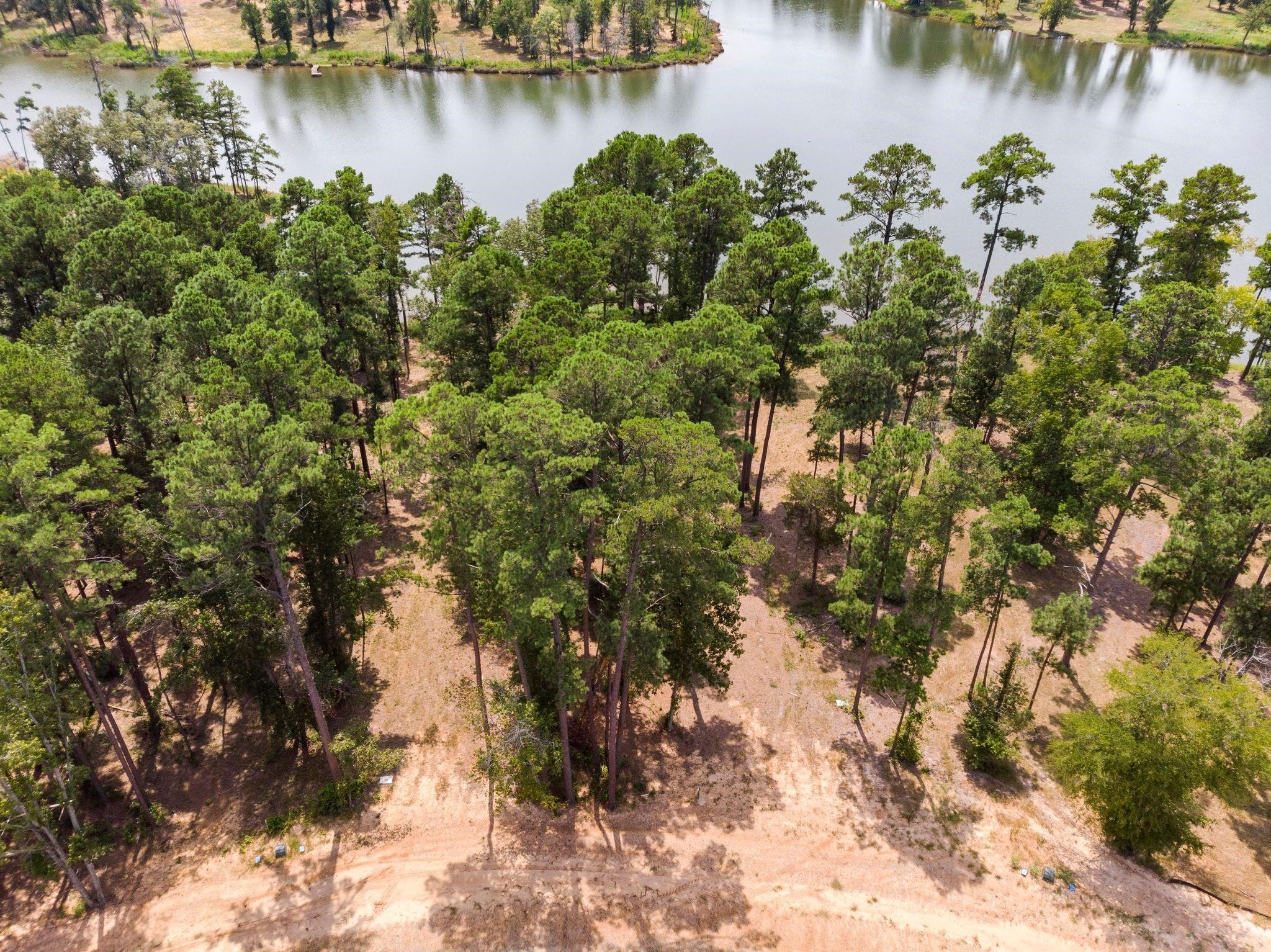 Lot 40 Big Rock Lake Road Hallsville TX 75650