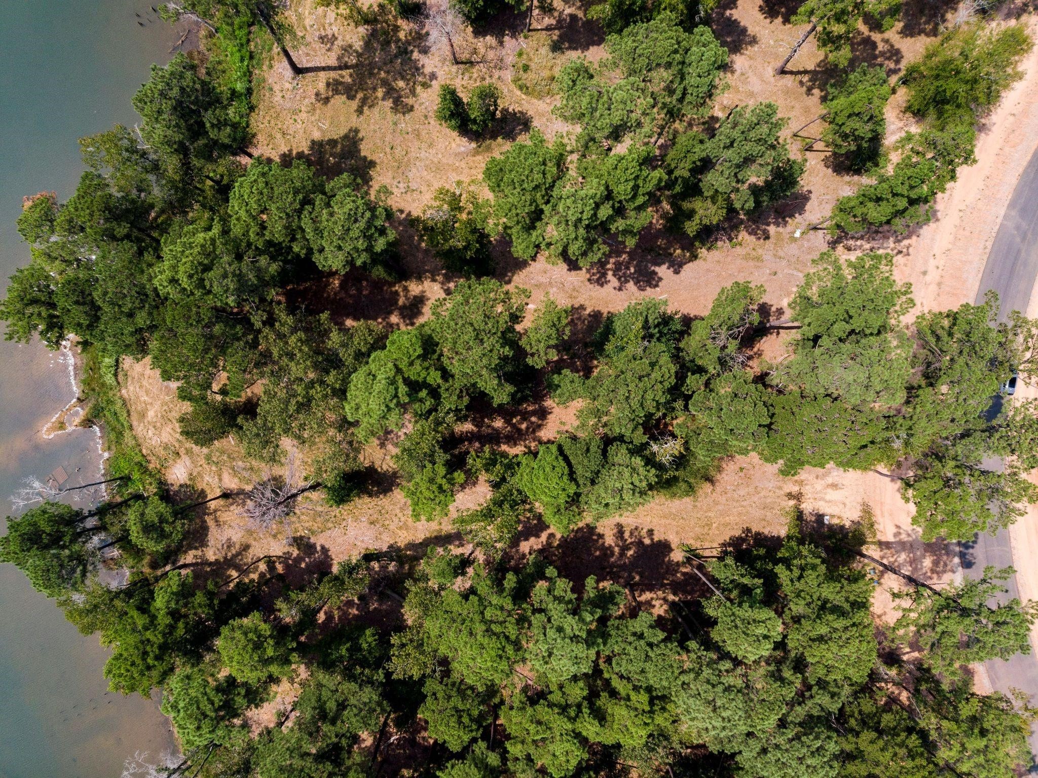 Lot 40 Big Rock Lake Road Hallsville TX 75650