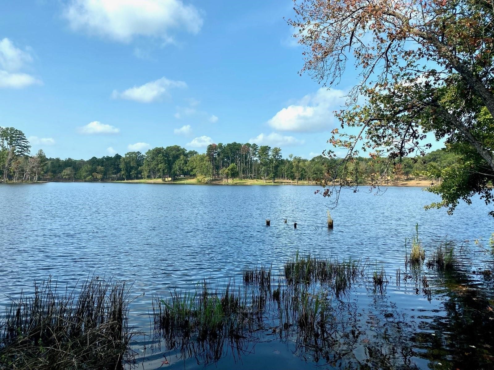 Lot 40 Big Rock Lake Road Hallsville TX 75650