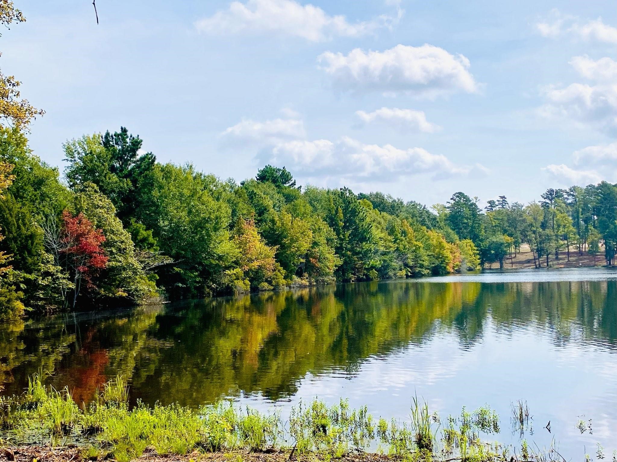 Lot 40 Big Rock Lake Road Hallsville TX 75650