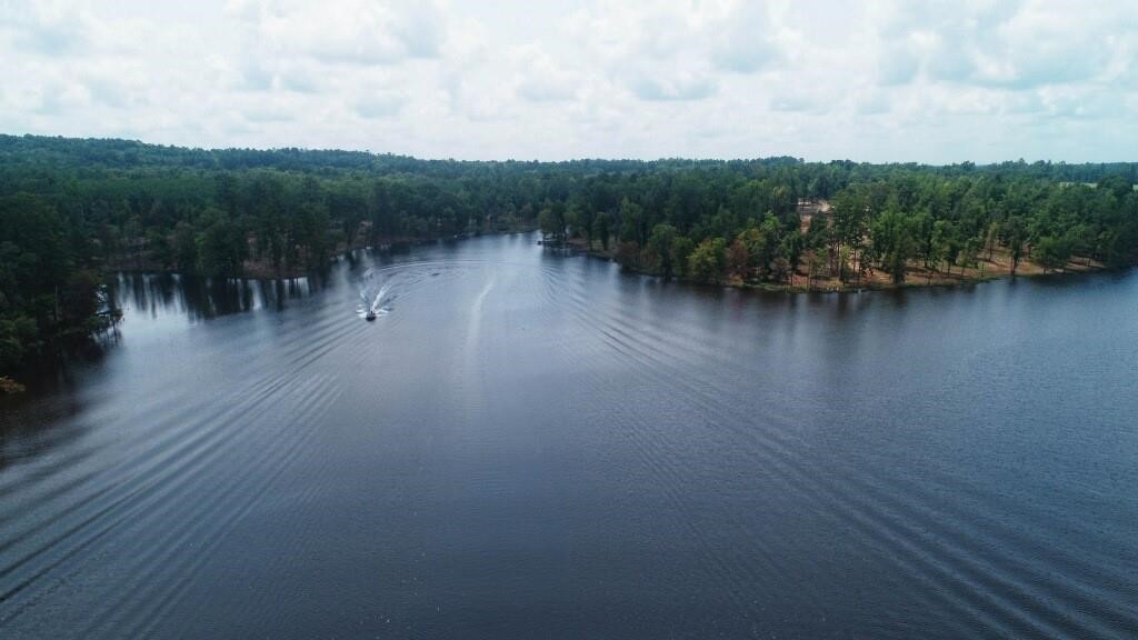 Lot 40 Big Rock Lake Road Hallsville TX 75650
