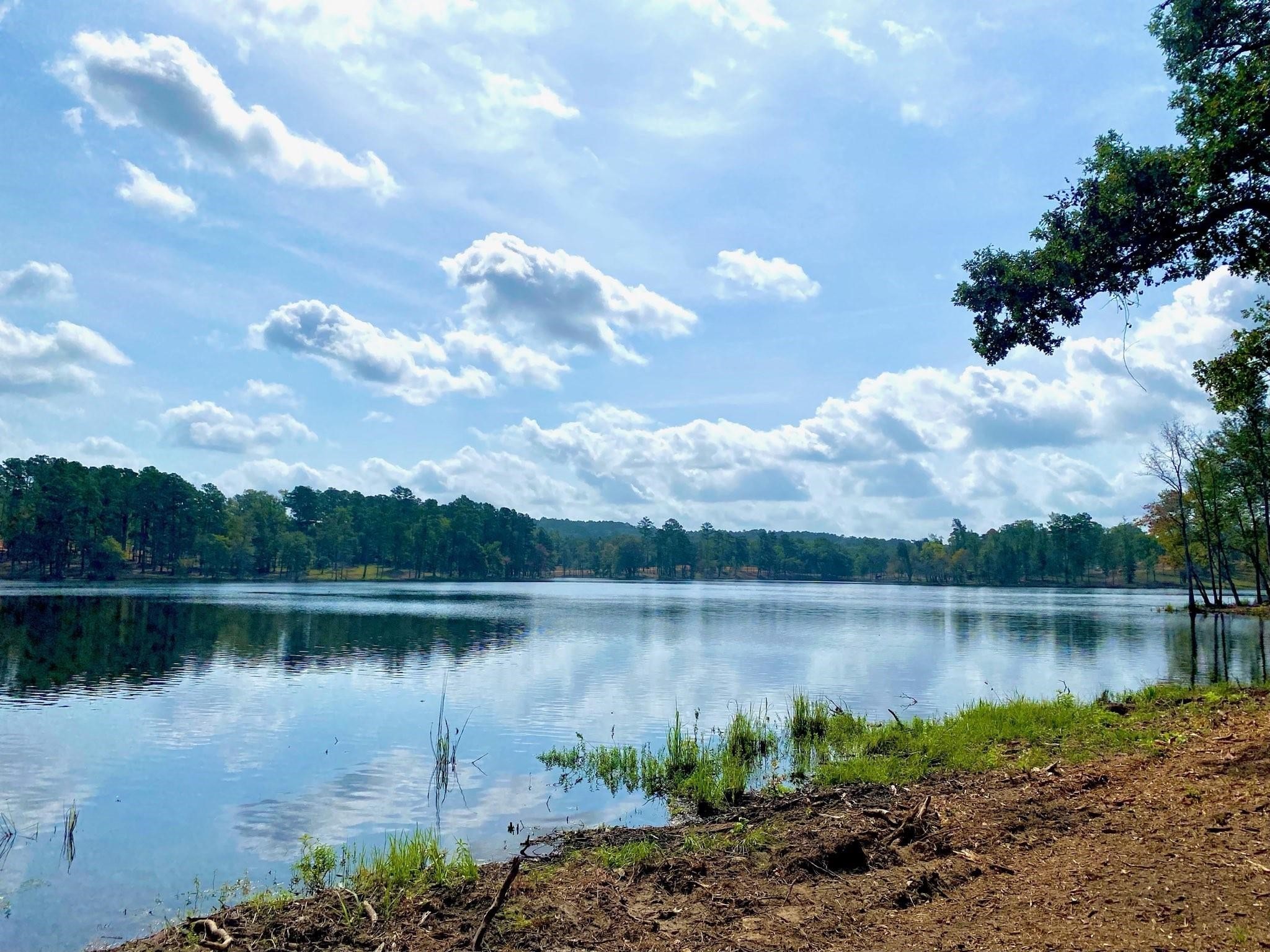 Lot 40 Big Rock Lake Road Hallsville TX 75650