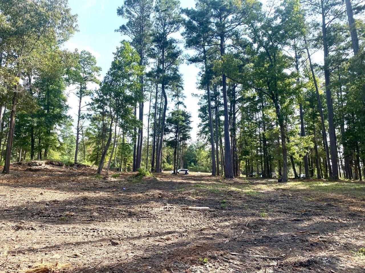 Lot 40 Big Rock Lake Road Hallsville TX 75650