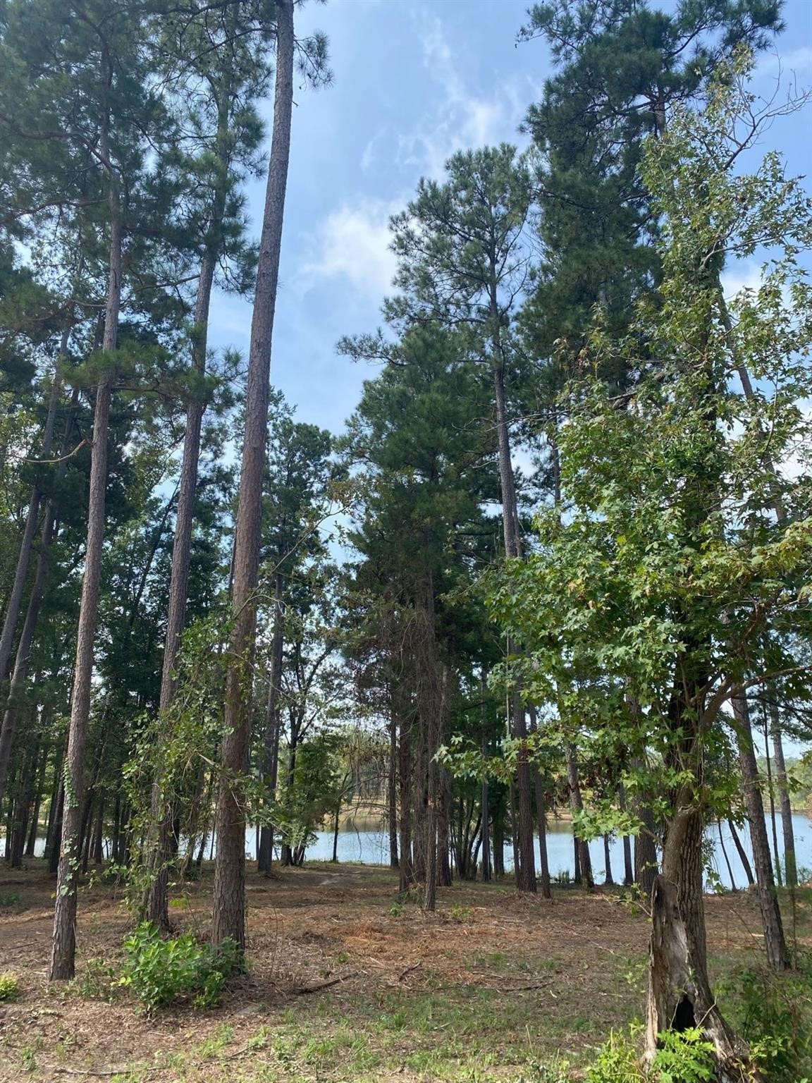 Lot 40 Big Rock Lake Road Hallsville TX 75650