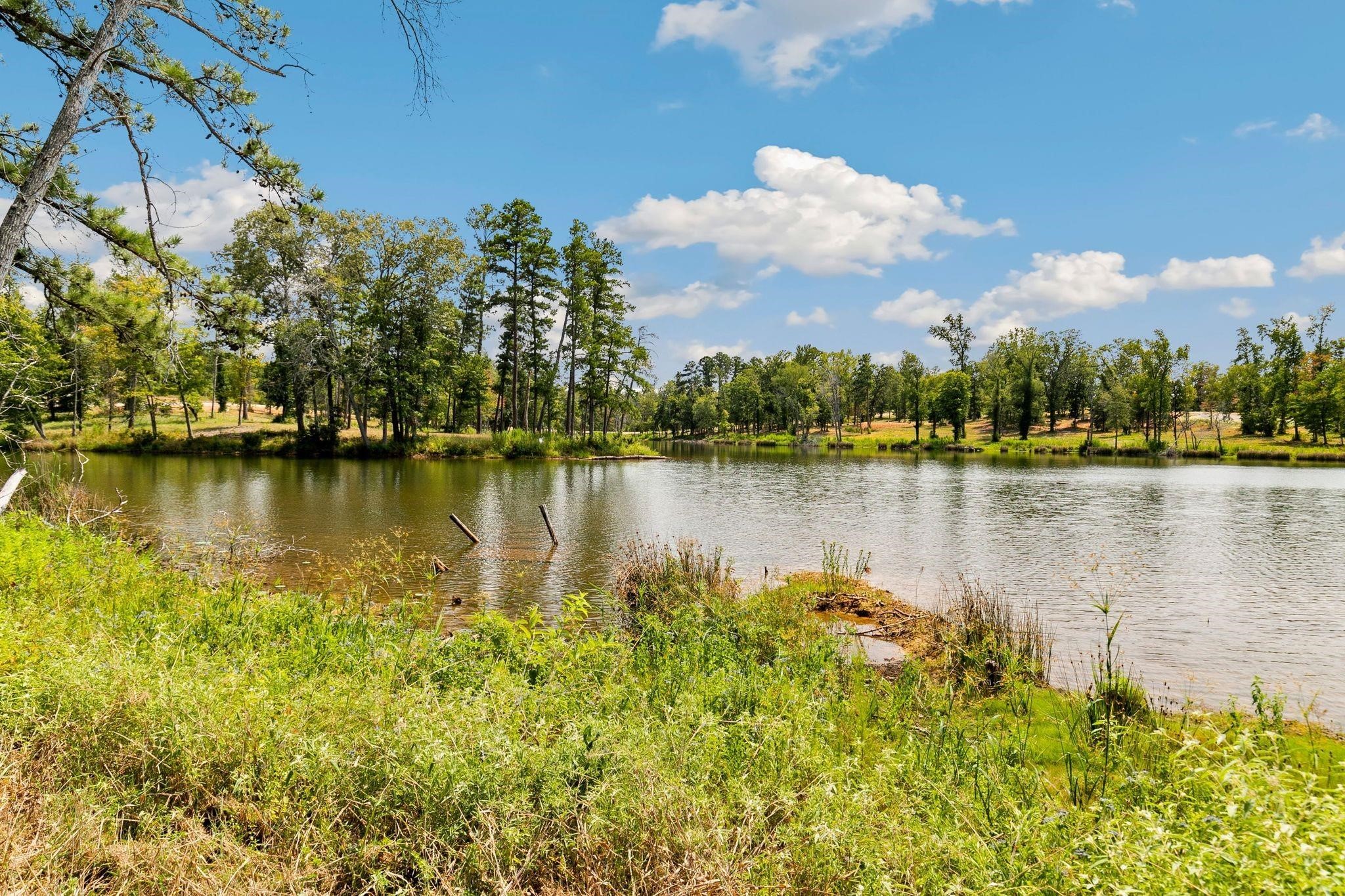 Lot 40 Big Rock Lake Road Hallsville TX 75650