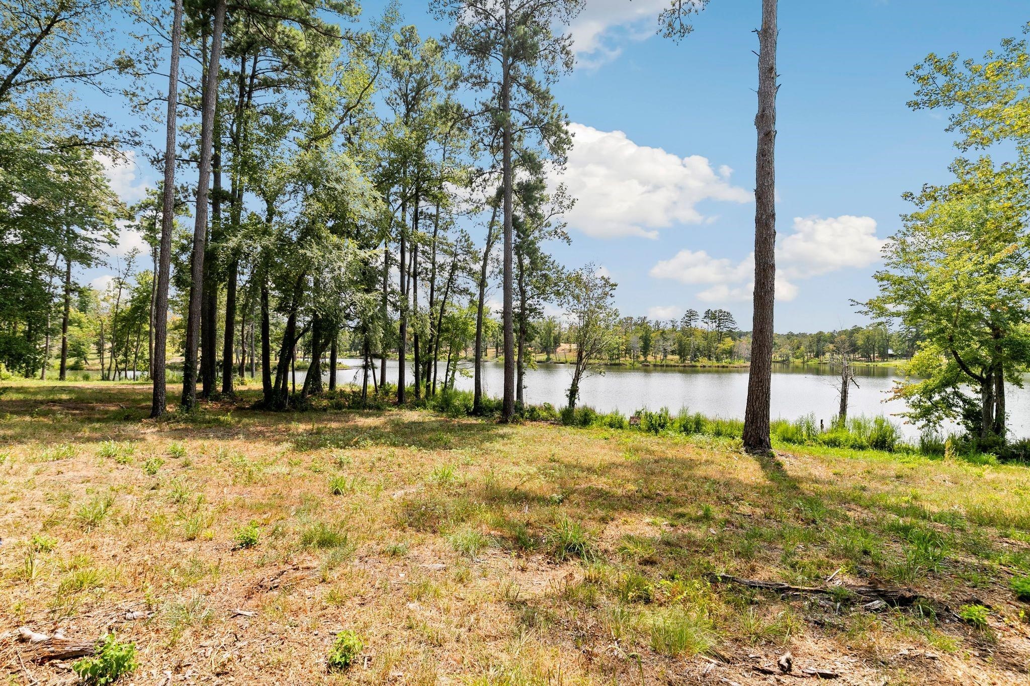 Lot 40 Big Rock Lake Road Hallsville TX 75650