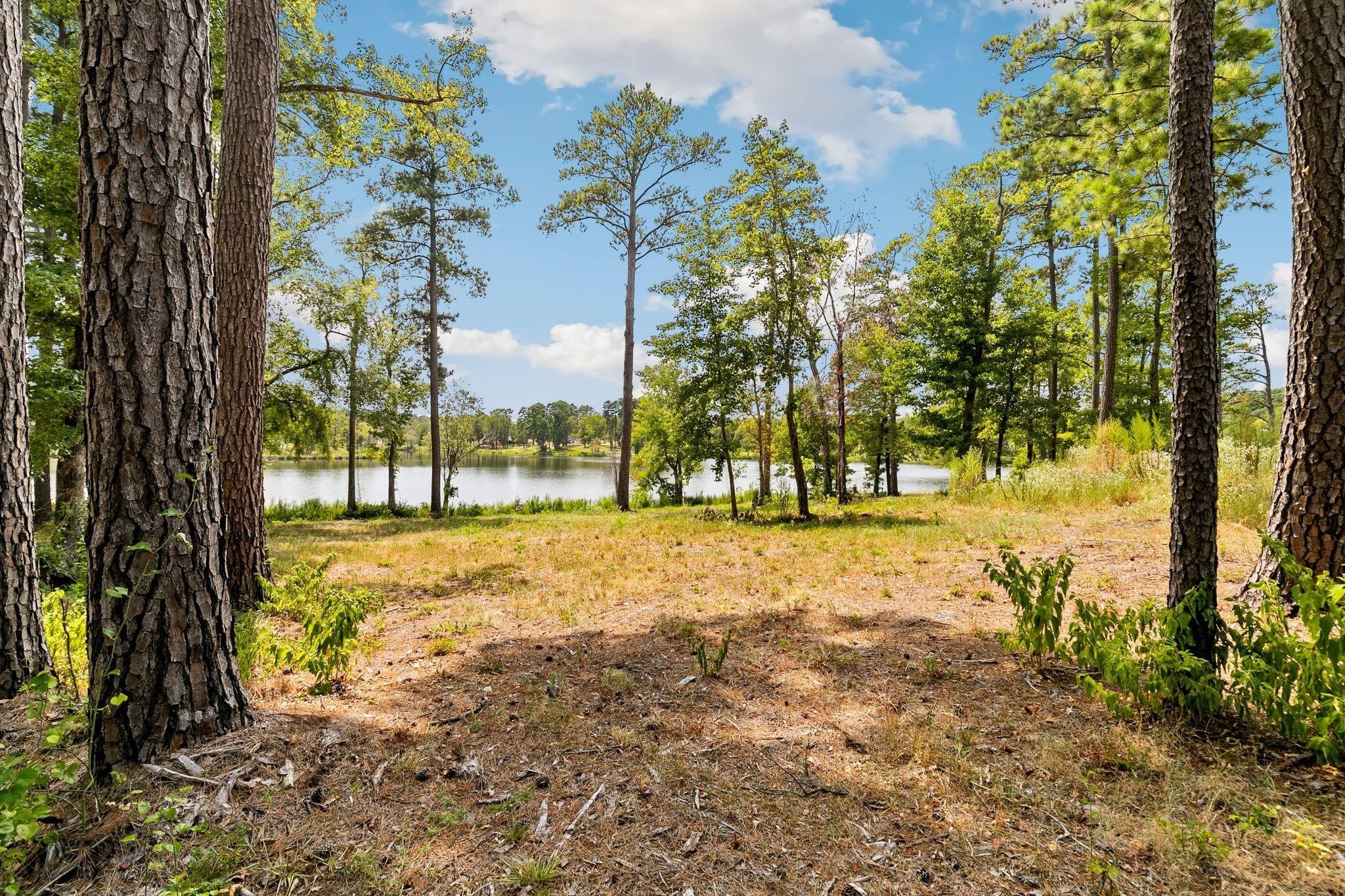 Lot 40 Big Rock Lake Road Hallsville TX 75650