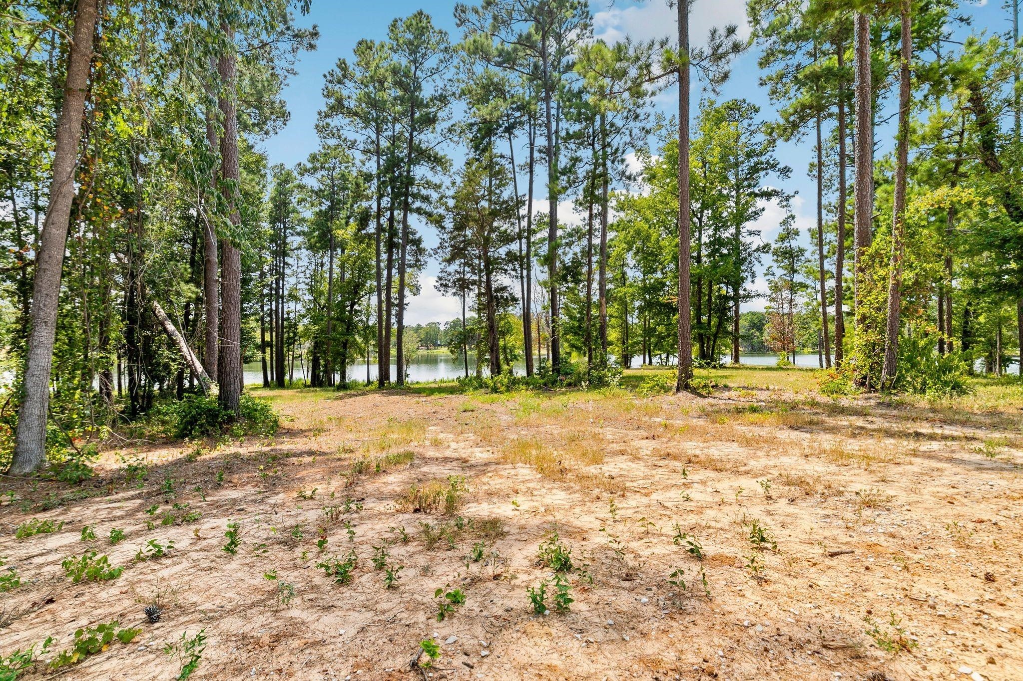 Lot 40 Big Rock Lake Road Hallsville TX 75650
