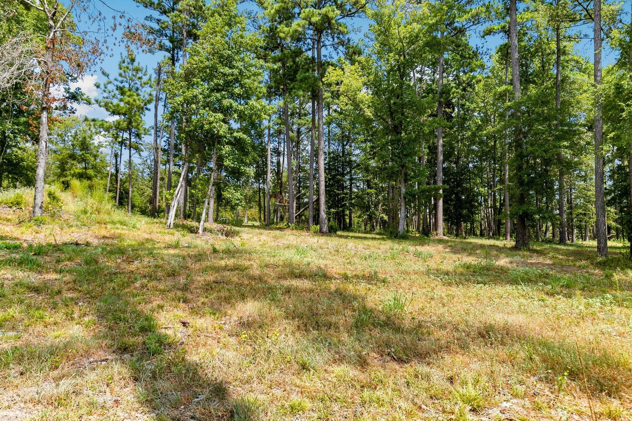 Lot 40 Big Rock Lake Road Hallsville TX 75650