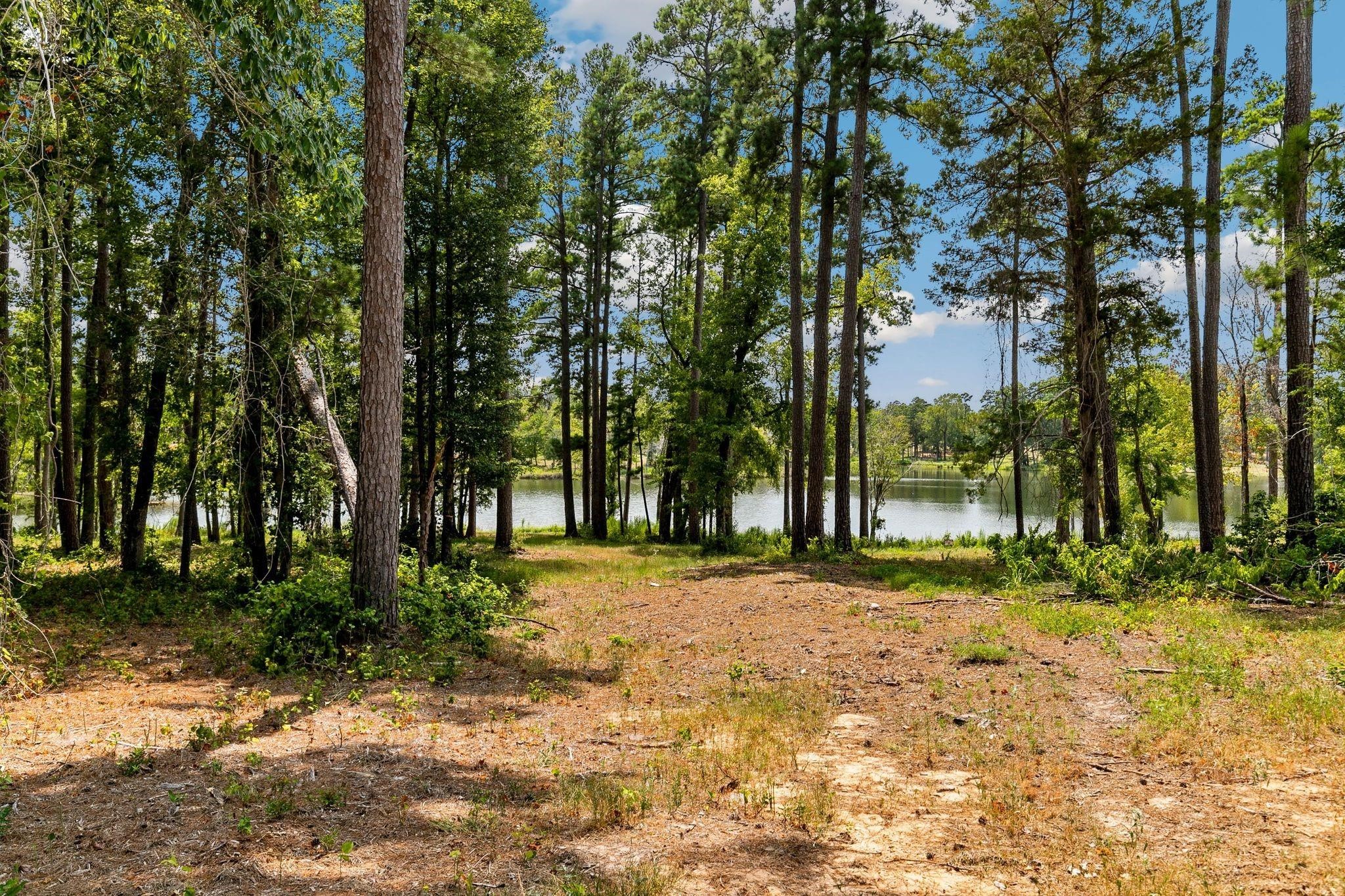 Lot 40 Big Rock Lake Road Hallsville TX 75650