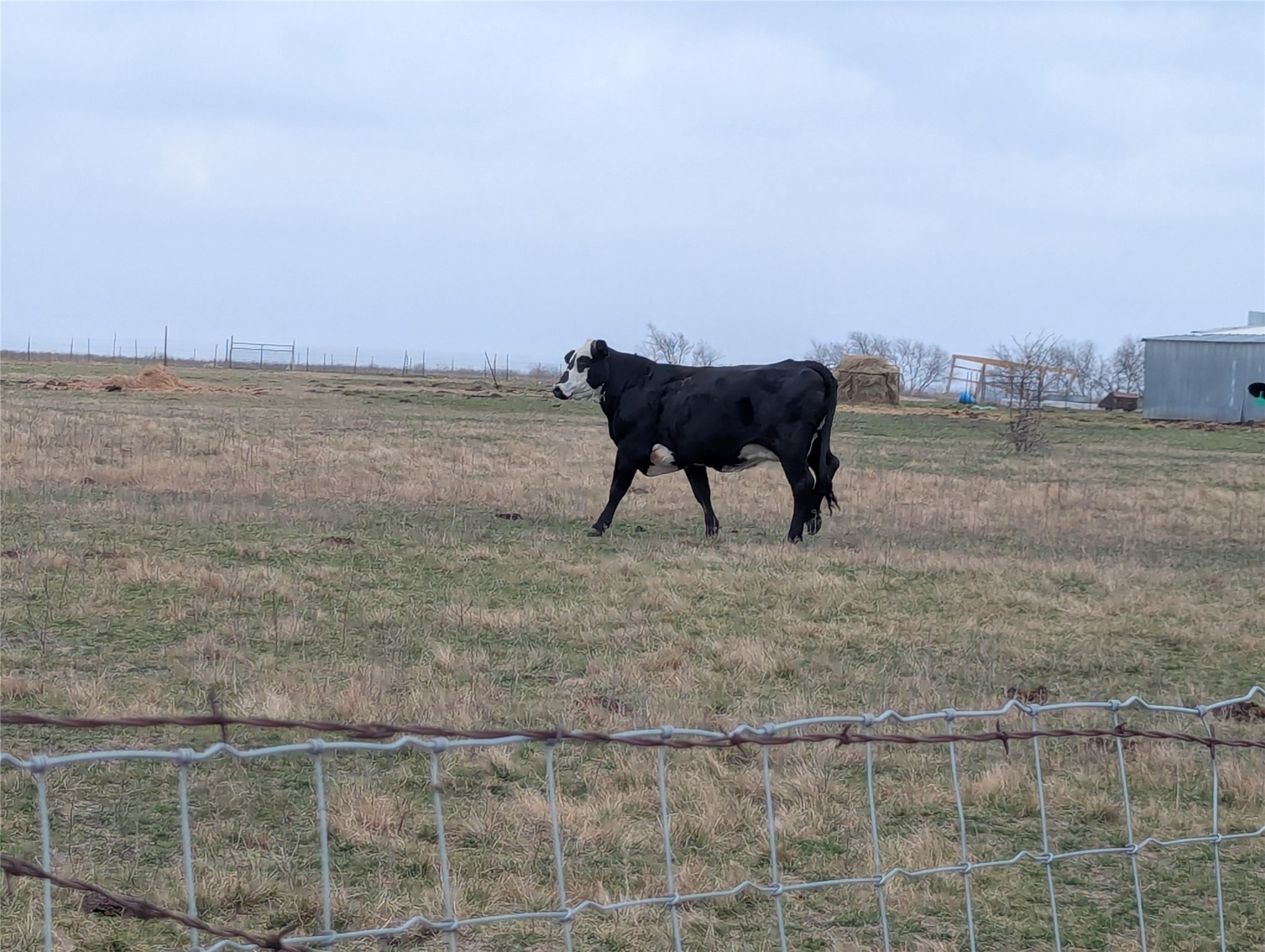 4701 Fm 512 Commerce TX 75428