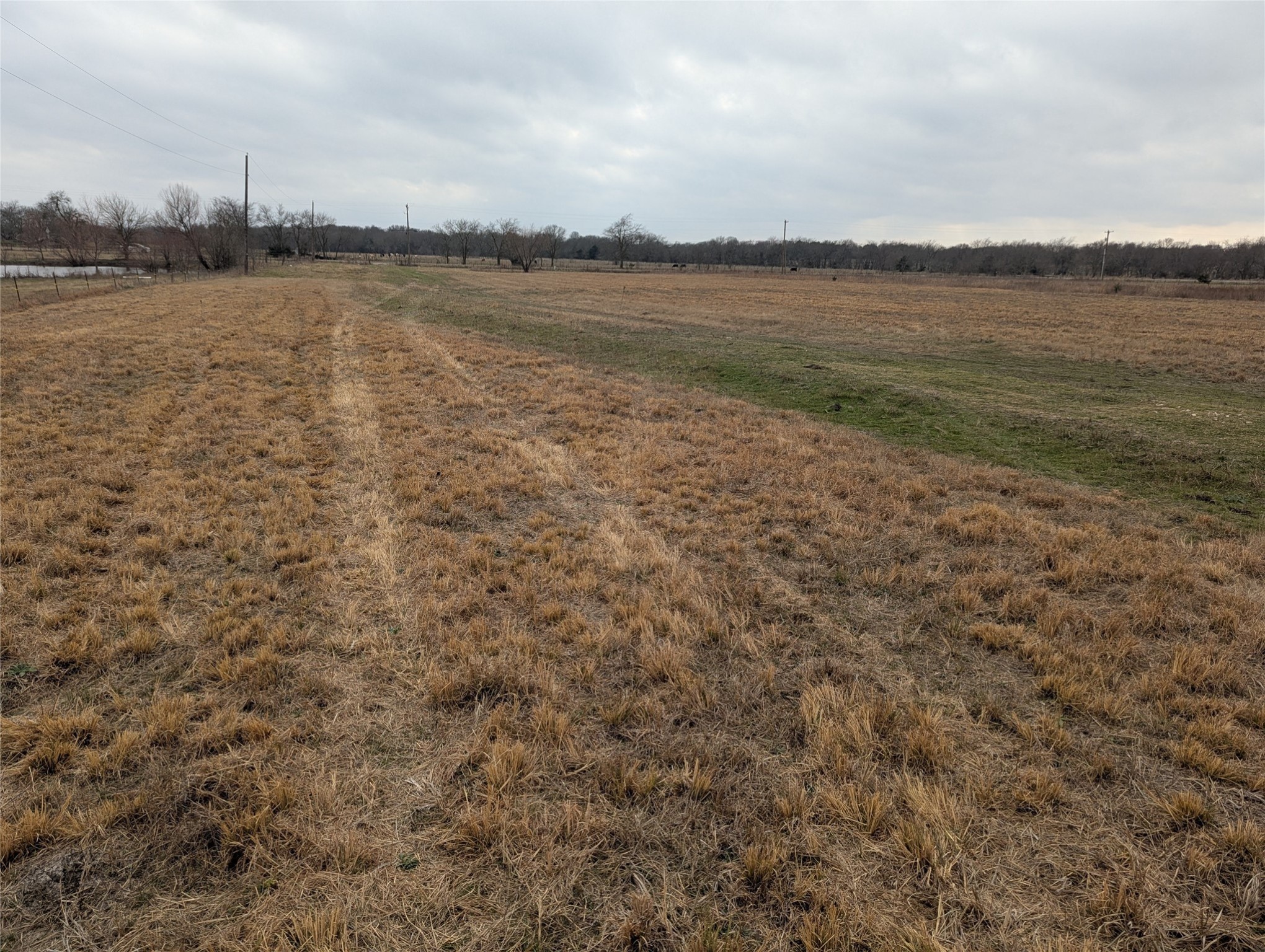4701 Fm 512 Commerce TX 75428